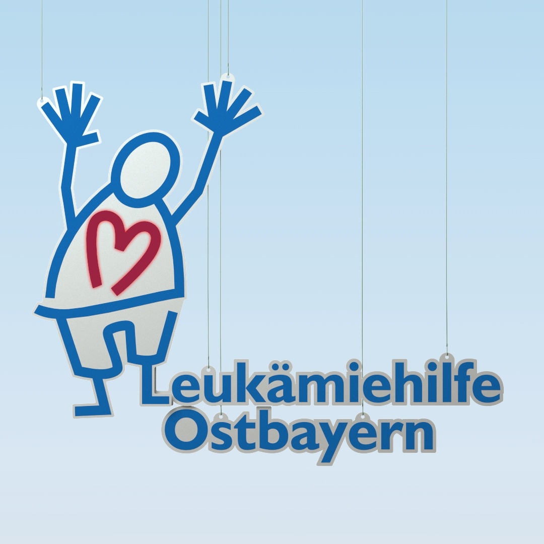 Projekt/<br>Leo – Bauen Sie mit!/<br>Leukämiehilfe Ostbayern e. V.